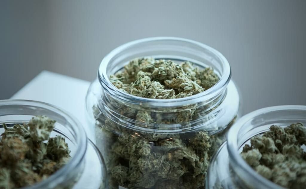 store cannabis flower keep fresh longer