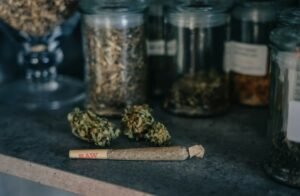 how long cannabis stays fresh