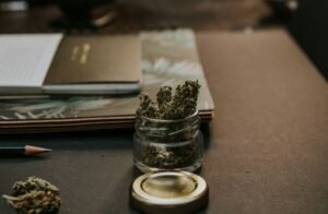 Boveda humidity packs cannabis storage