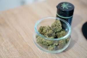 store cannabis fridge or freezer