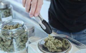 store large amounts cannabis home California