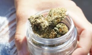 cannabis storage mistakes to avoid