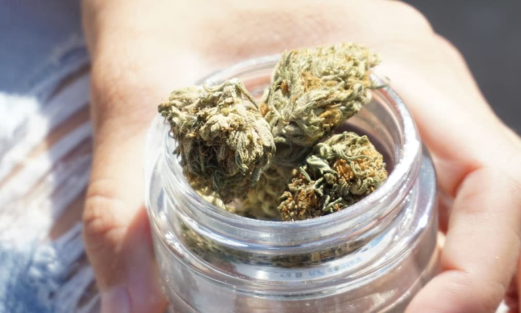 cannabis storage mistakes to avoid
