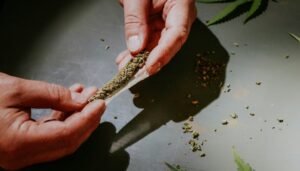 store cannabis in summer heat California