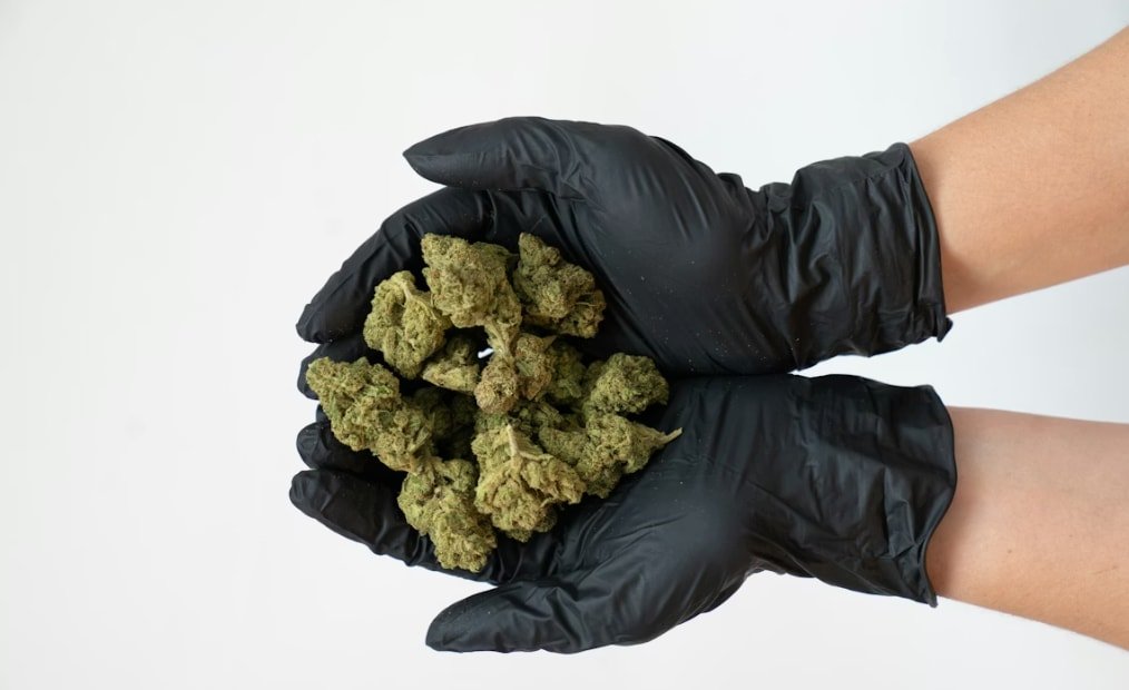 travel with cannabis California storage tips