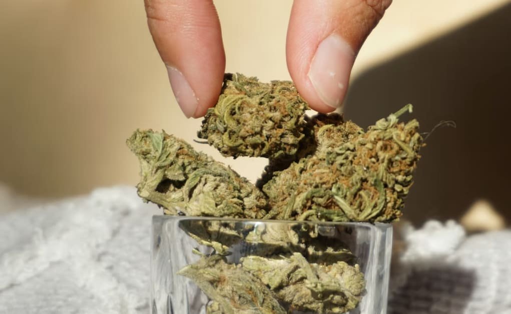 Long Term Weed Storage: How to Keep a 6-Month Supply