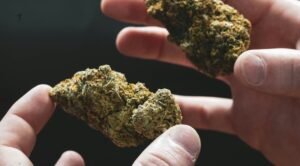 best THC cart brands California dispensaries