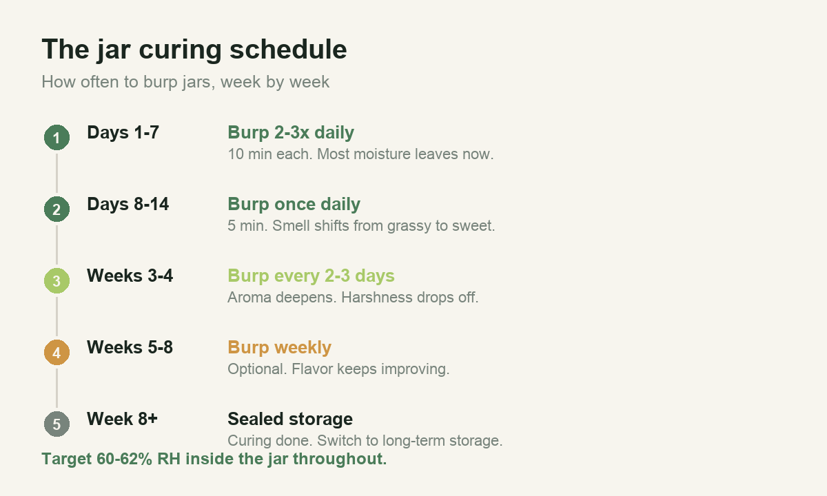 Week by week jar curing and burping schedule for cannabis