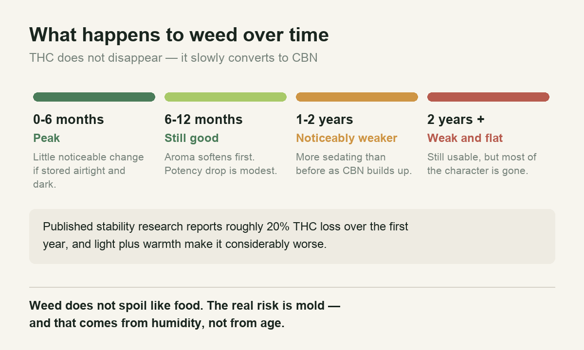Timeline showing how cannabis potency changes over two years of storage