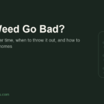 Does Weed Go Bad? How to Tell When to Throw It Out